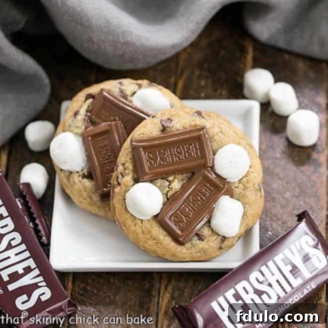 S'mookies: Irresistible S'mores Cookies 1 featured 11608