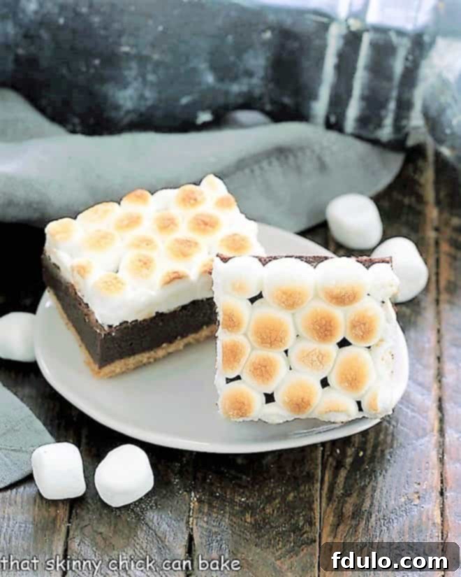 Gooey S'mores Brownies with Graham Cracker Crust 1 featured 27