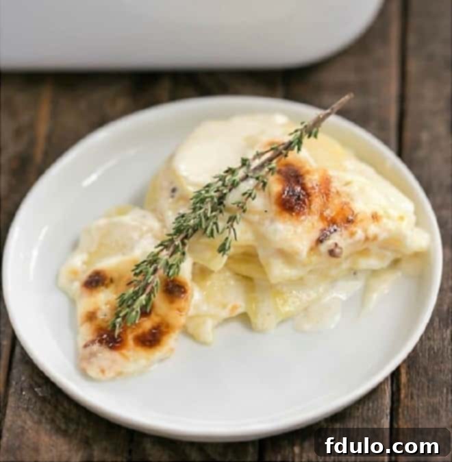 Gratin Dauphinois 1 featured 646