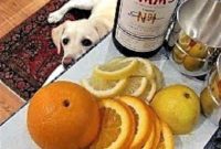 Pimm’s Perfect Summer Refresher