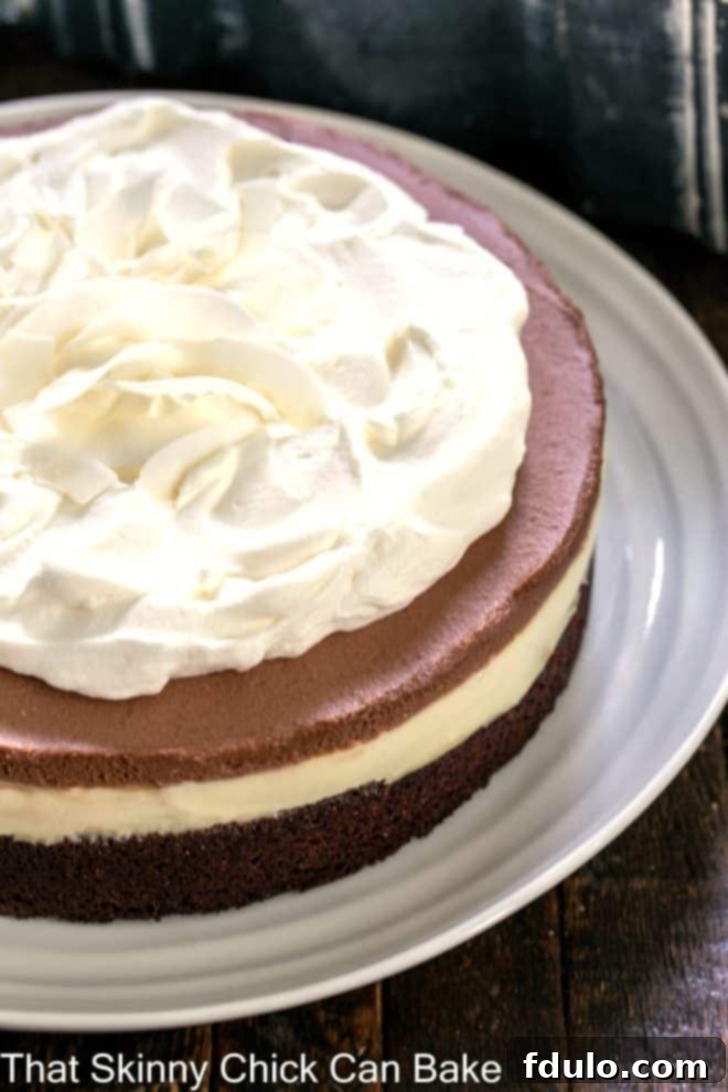 Decadent Coconut Brownie Cake with multiple layers on a pristine white background, ready to be served.