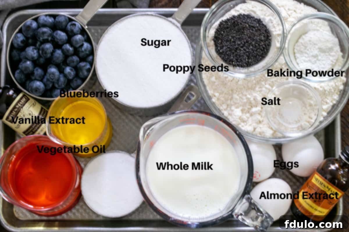 Poppy Seed Bread with Blueberries ingredients labeled and on a metal tray
