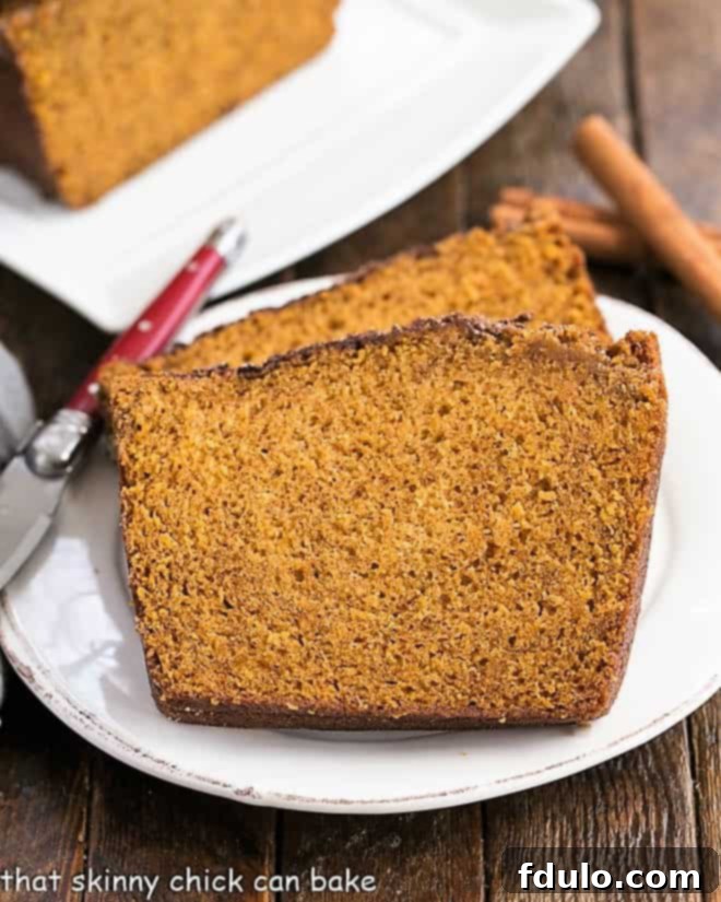 Cinnamon Crusted Pumpkin Bread - A dusting of cinnamon spice makes for the best pumpkin bread recipe Two generously sliced pieces of cinnamon topped pumpkin bread, elegantly arranged on a pristine white plate, showcasing its golden-brown crust.