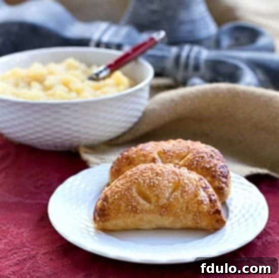 Compote de Pommes or French Applesauce