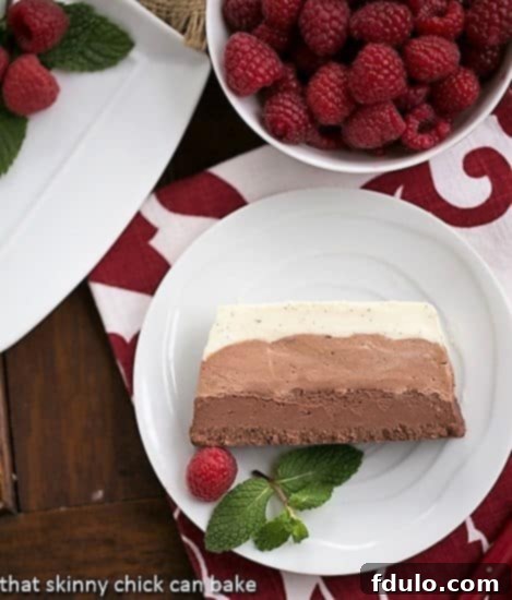 A close-up view of a perfectly presented slice of triple chocolate terrine on a small white plate, elegantly garnished with fresh raspberries and a sprig of mint, highlighting its gourmet quality.