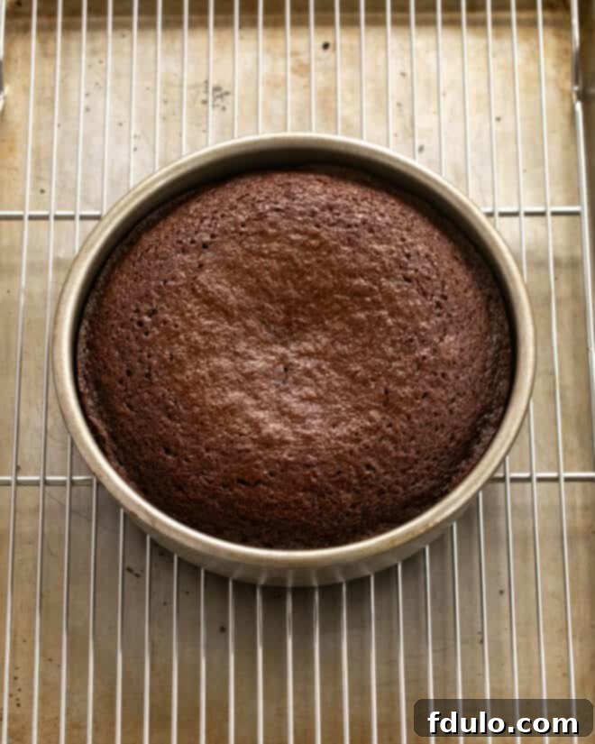 Step 9: Baking the cake in the oven.