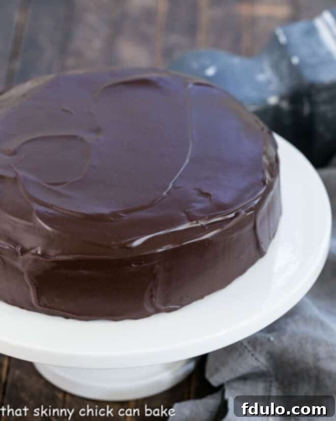 The stunning One Layer Fudge Cake presented elegantly on a white ceramic cake stand, ready to be admired and devoured.