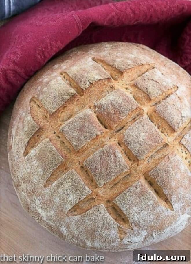 Overhead view of a freshly baked Whole Wheat Country Bread loaf, showcasing its rustic charm and golden-brown crust.