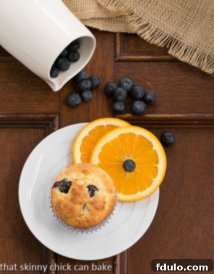 A single Blueberry Orange Muffin resting on a small white plate, garnished with orange slices and a fresh blueberry.