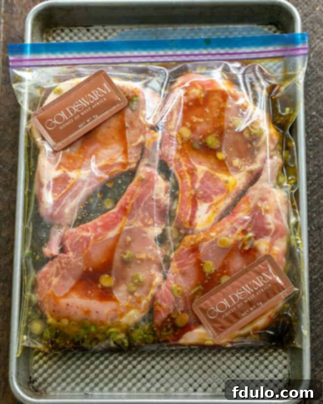 Soy, Honey & Lemon Marinated Chops in bag with marinade.