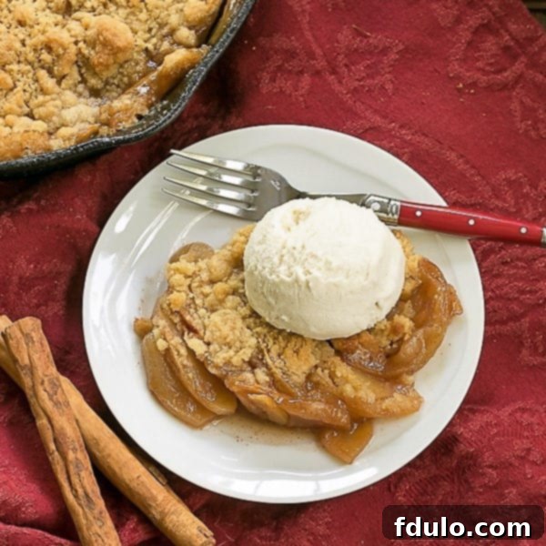 Grilled Apple Crisp - A classic dessert with smoky undertones from the BBQ Overhead view of Grilled Apple Crisp on a round white plate with a scoop of vanilla ice cream.