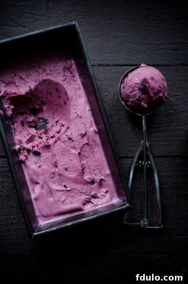 Roasted blueberry crème fraîche ice cream with a unique tart and creamy flavor.