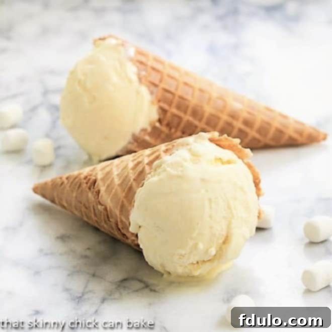 Fudge-topped marshmallow ice cream with a smooth texture.