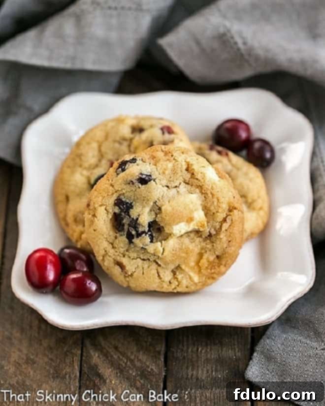 Cranberry, White Chocolate, Crystallized Ginger Cookies on a square white plate with fresh cranberries, emphasizing their festive appeal.