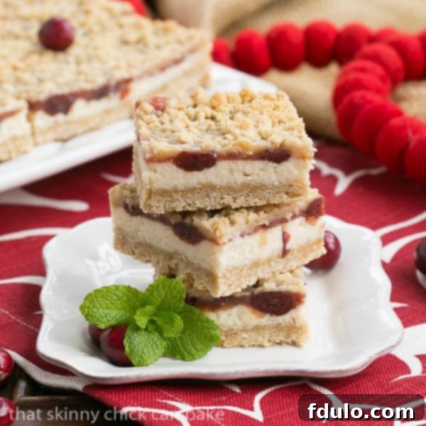 Cranberry Cheesecake Bars, a delightful holiday treat.