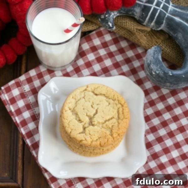 Butterscotch Cookies overhead shot on a white plate with a glass of milk on a checked napkin.