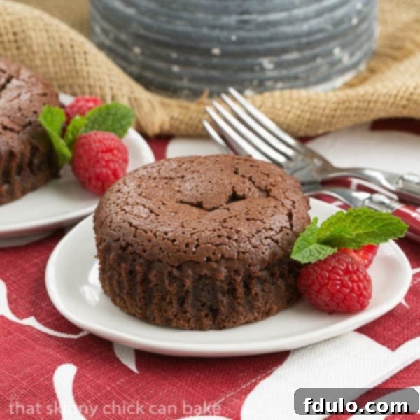 Chocolate Lava Cakes on a white plate with raspberries and mint.