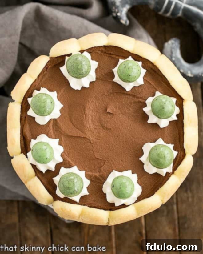 An inviting overhead view of the finished Irish Chocolate Mousse Cake, elegantly presented and ready to be sliced, highlighting its smooth chocolate top and ladyfinger crust.