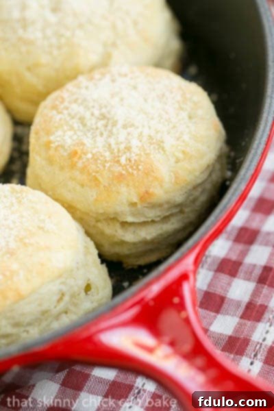 Freshly baked Buttermilk Goat Cheese Biscuits, golden and ready to serve Warm Buttermilk Goat Cheese Biscuits fresh out of the oven, nestled in a vibrant red cast iron skillet, showcasing their golden-brown tops.