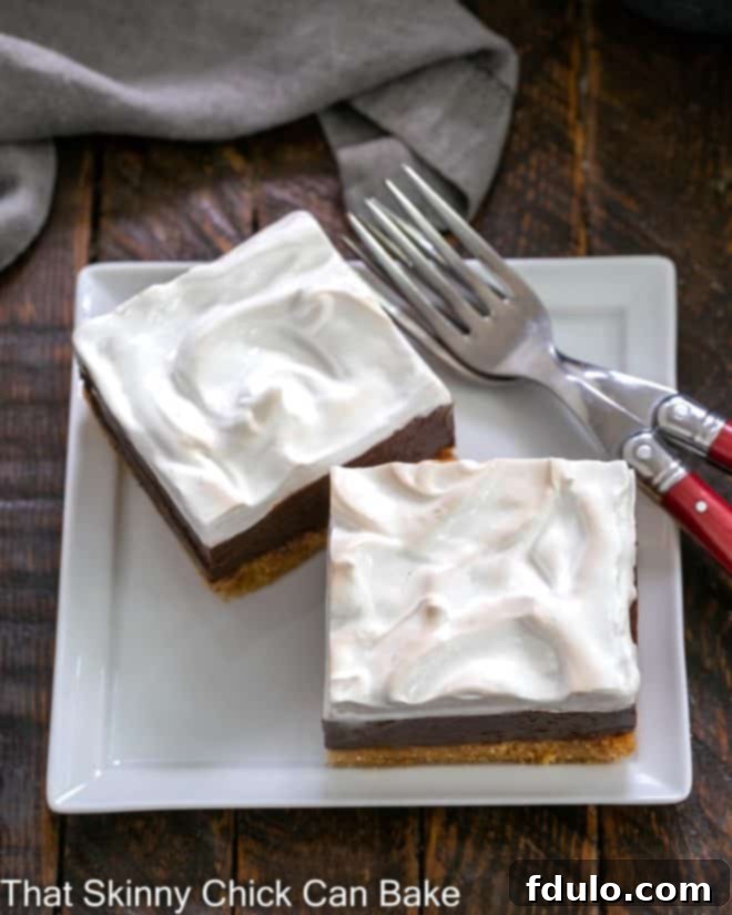 Two S'mores Fudge Bars on a square white plate with two red-handled forks, highlighting their delightful appearance.
