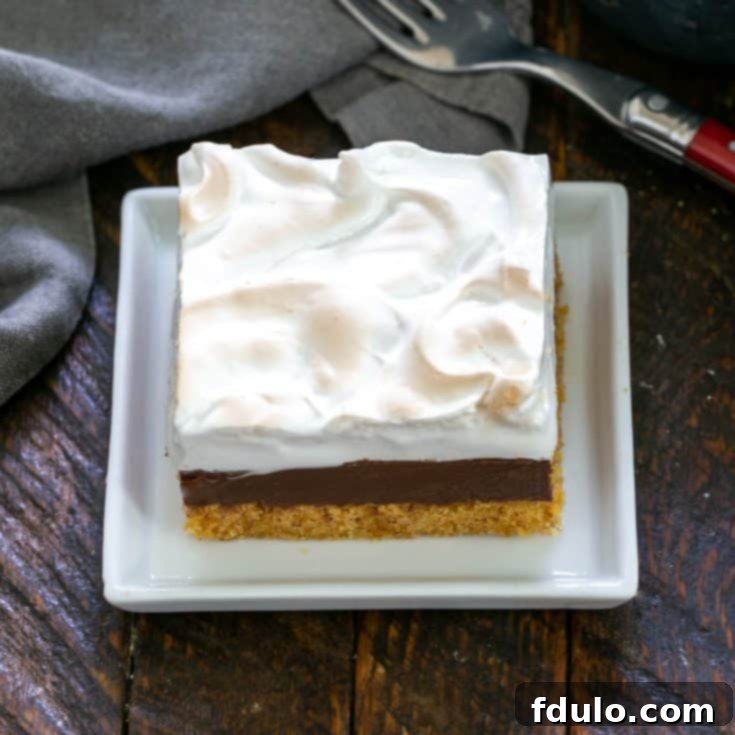 One S'mores Fudge Bar on a square white plate, perfectly showcasing its layers.