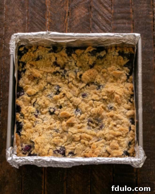 Step 7: The finished blueberry streusel bars, baked to golden perfection with bubbling blueberry filling, fresh out of the oven and cooling in the pan.