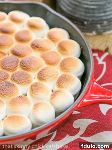 Close view of Skillet S'mores Dip bubbling and golden brown in a rustic red pan, highlighting its irresistible texture.