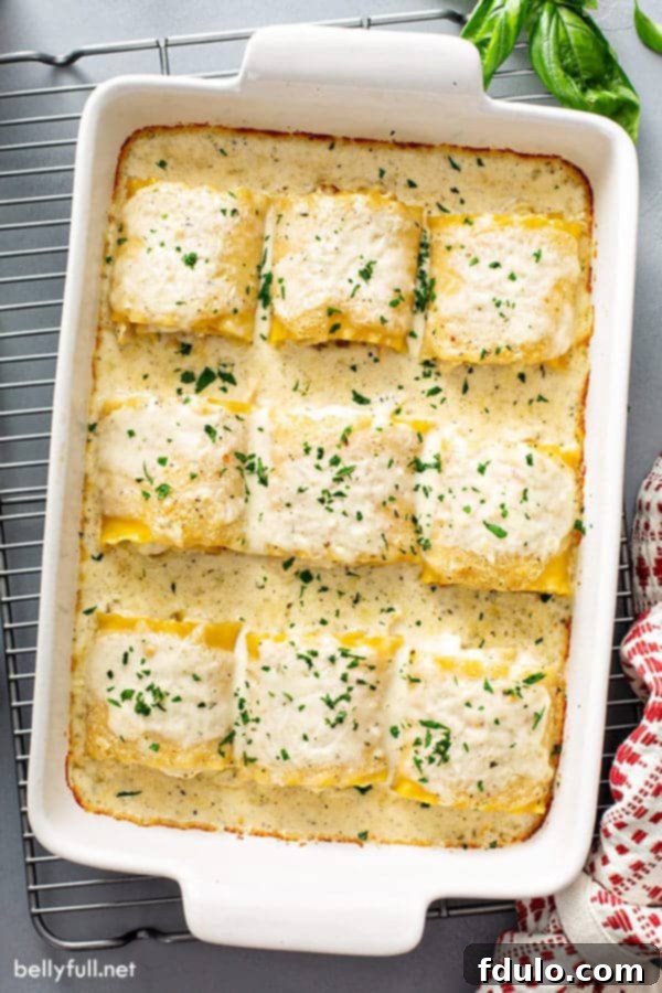 Chicken Alfredo Lasagna Rolls, two favorites in one delicious dish.