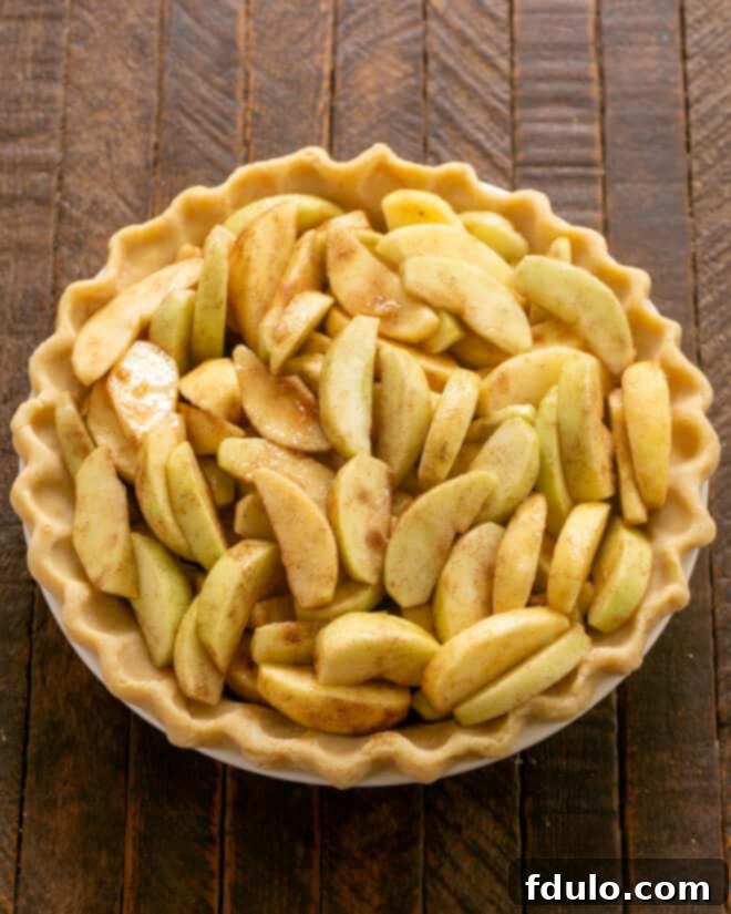 Traditional Dutch Apple Pie 5 Place apples into pie crust.