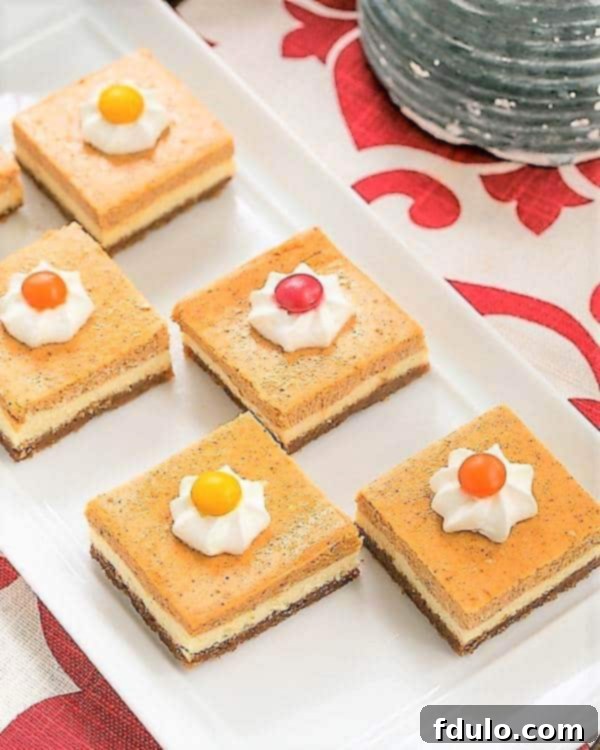 Pumpkin Cheesecake Bars on a white ceramic tray, showcasing the golden-brown Biscoff crust and creamy, distinct cheesecake layers