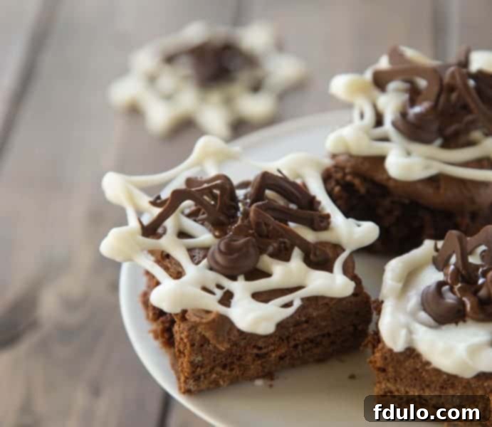 Rich fudgy brownies topped with a sweet icing spider and delicate spiderweb design, perfect for a spooky dessert.