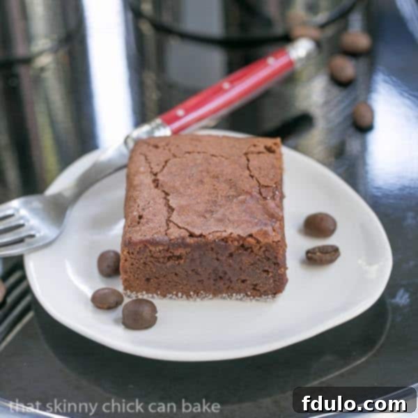 Espresso Chocolate Fudge Squares 2 Fudgy Mocha Brownies | Dense and decadent, with a dose of espresso powder to intensify the chocolate flavor!