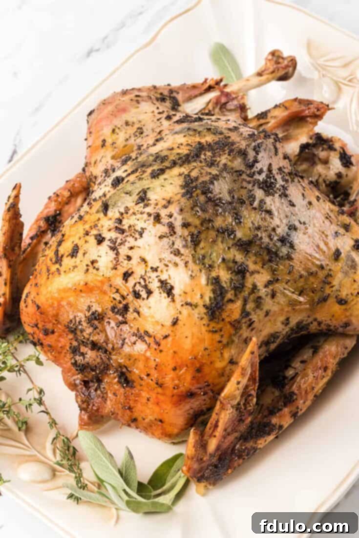 Herb Roasted Turkey with fresh herbs
