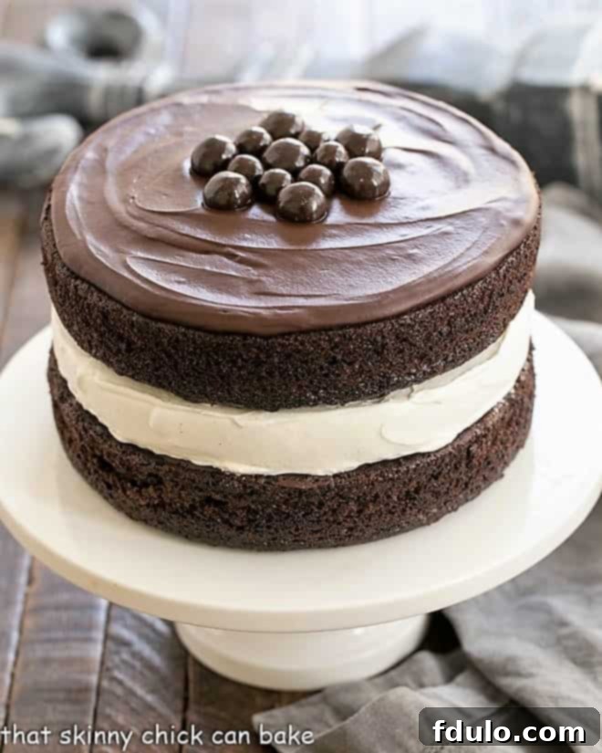 Ding Dong Cake - a cake designed to look like a Hostess Ding Dong on a white cake stand, showcasing its chocolate layers, vanilla cream, and glossy ganache.