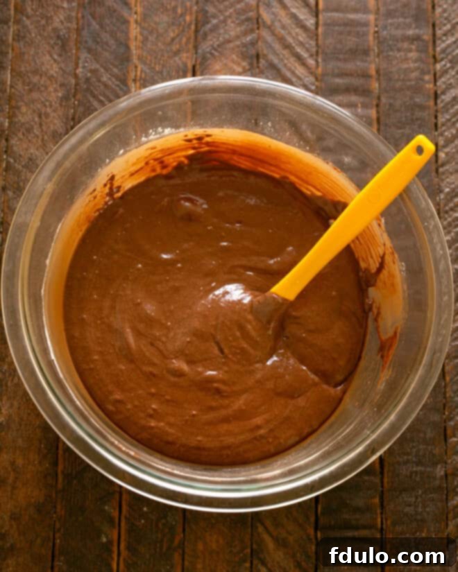 Step 5: Continue to fold until the dry ingredients are just combined.