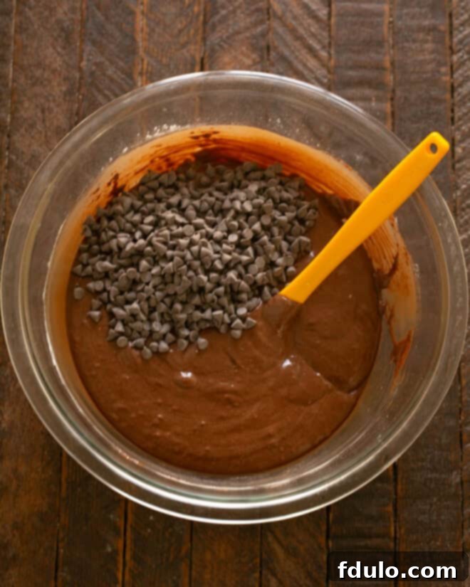 Step 6: Gently fold in the mini chocolate chips.