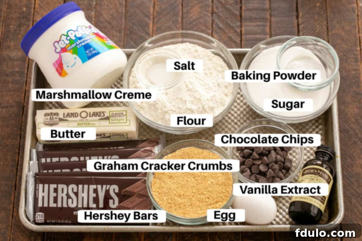 A vibrant flat lay of S'mores Cookie Bar ingredients artfully arranged on a baking sheet, with clear labels for each item.