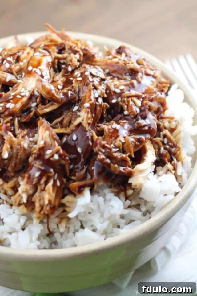 Crock Pot Teriyaki Chicken