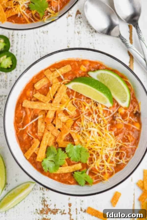 Crockpot Chicken Enchilada Soup