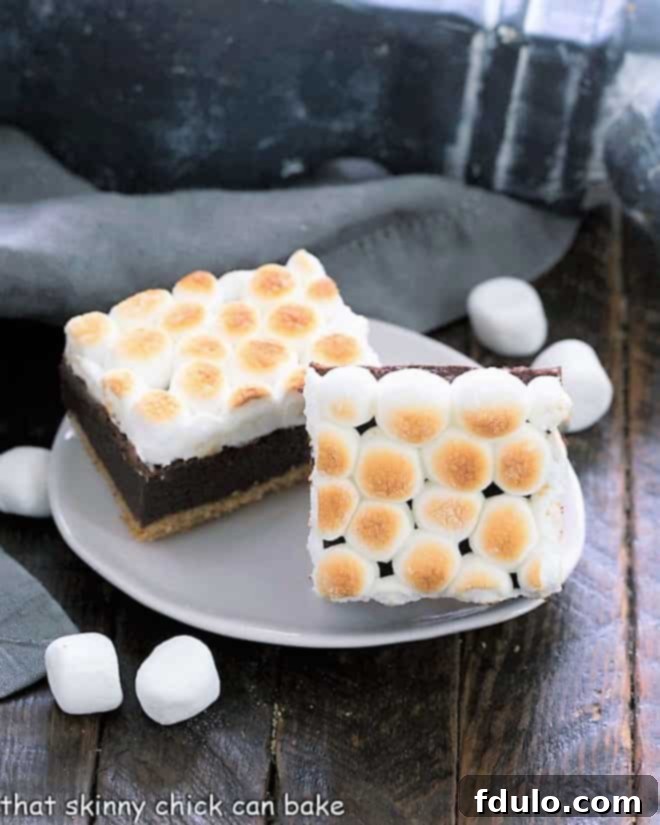 Gooey S'mores Brownies with Graham Cracker Crust 3 Two S'mores brownies on an oval plate, showcasing their gooey marshmallow topping and rich brownie base.