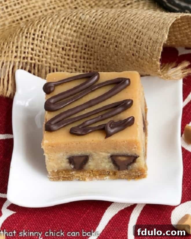 Peanut Butter Cheesecake Bars on a white square dessert plate, showcasing the rich texture and Reese's pieces.