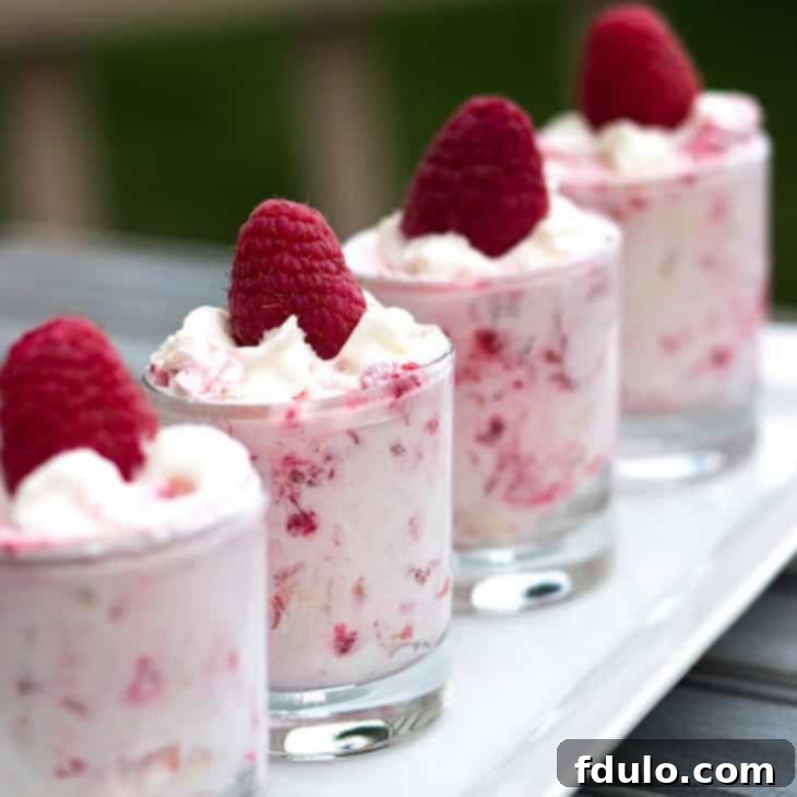 Light and refreshing Raspberry Shooters, an elegant individual dessert.