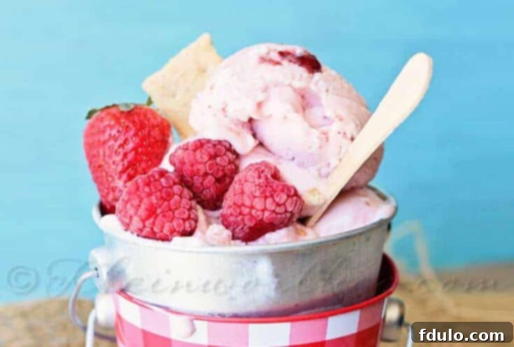 Double Berry Cheesecake Frozen Yogurt, a cool and creamy dessert for hot weather.