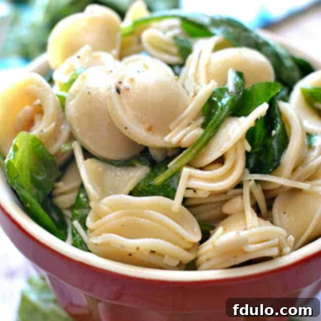 Spinach, Pine Nut & Parmesan Pasta Salad, a sophisticated and flavorful pasta dish.
