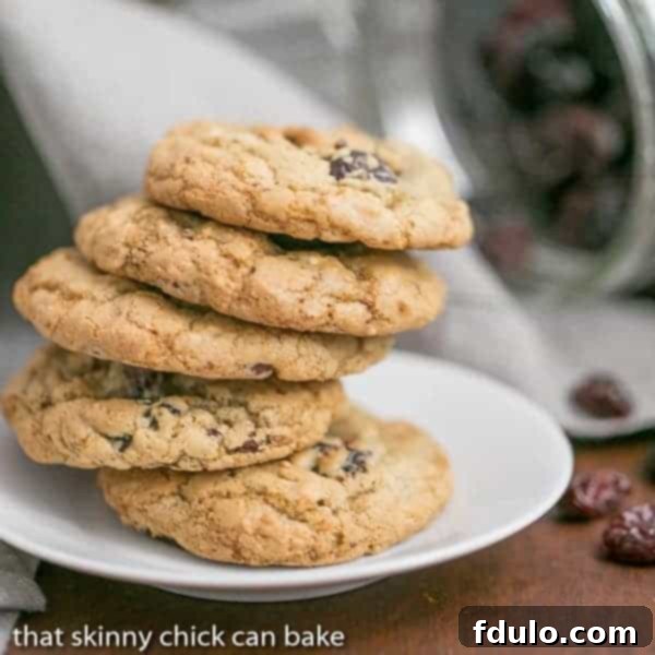 Oatmeal Chocolate Chunk Cookies | Packed full of chocolate, oats, nuts and dried cherries