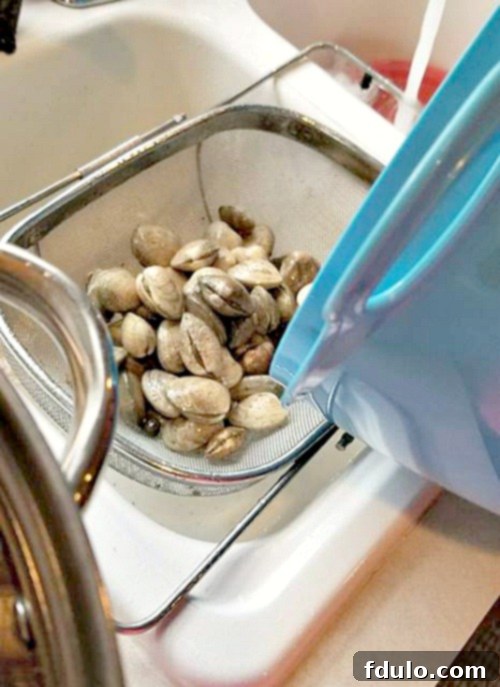 Clams being dropped into over the sink strainer to rinse
