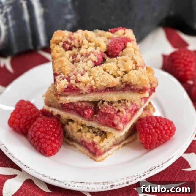 Streusel Topped Raspberry Squares Recipe