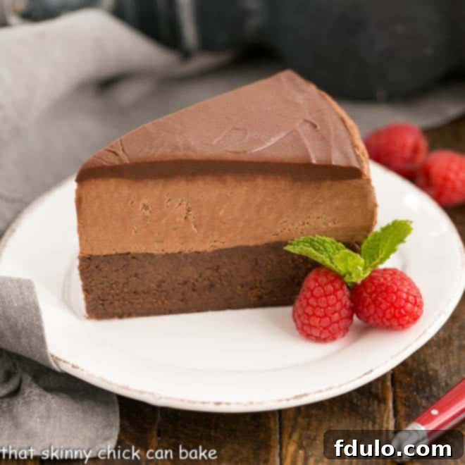 Frozen Chocolate Mousse Cake Recipe
