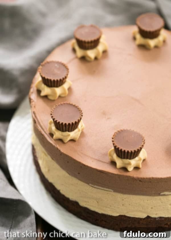 A whole Peanut Butter Chocolate Mousse Cake presented on an elegant basket weave serving plate, highlighting its smooth, distinct layers.