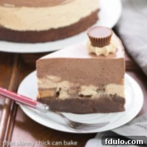 Peanut Butter Chocolate Mousse Cake Recipe